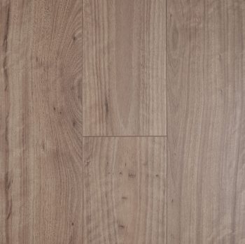 Blackbutt