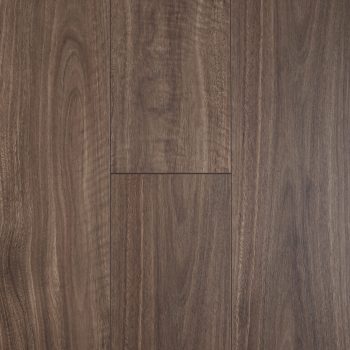 Spotted Gum