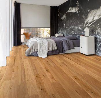 Blackbutt - Image 2
