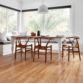 Blackbutt