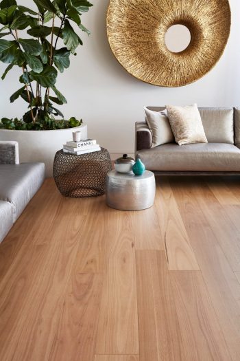 Blackbutt - Image 2