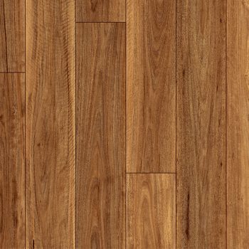 Spotted Gum