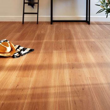 Coastal Blackbutt