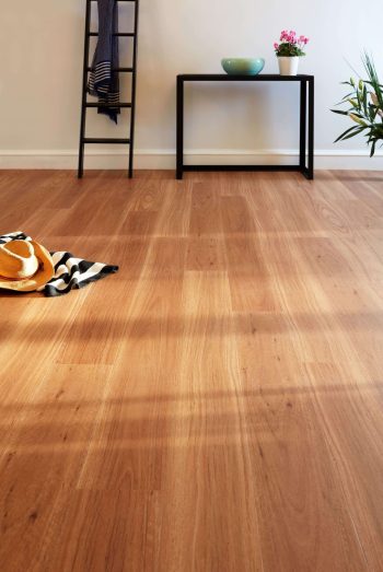 Coastal Blackbutt - Image 2