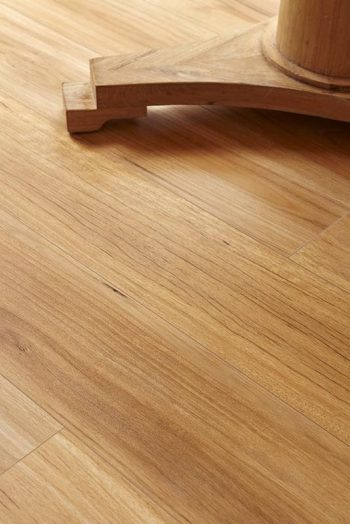 Blackbutt - Image 4