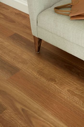 NSW Spotted Gum - Image 2