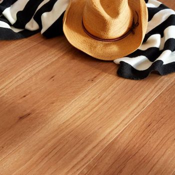 New England Blackbutt