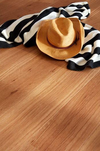 New England Blackbutt - Image 2