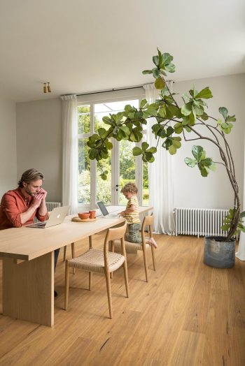 Pure Spotted Gum - Image 3