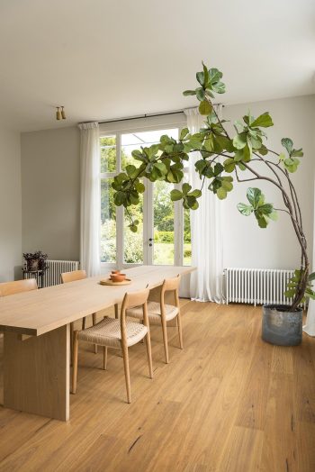 Pure Spotted Gum - Image 2