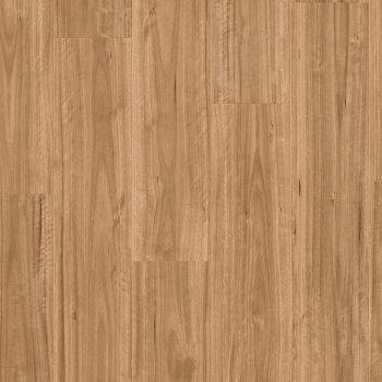 Urban Blackbutt