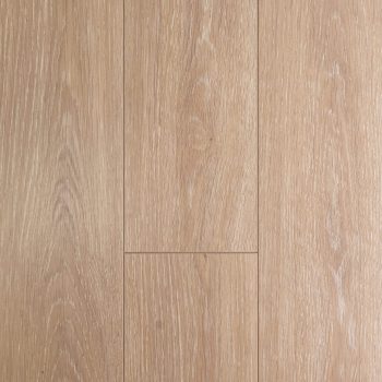 Limesmoke Oak