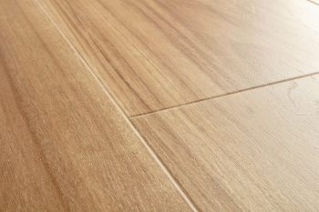 Blackbutt - Image 3