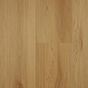 Mountain Oak