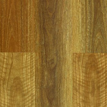 NSW Spotted Gum