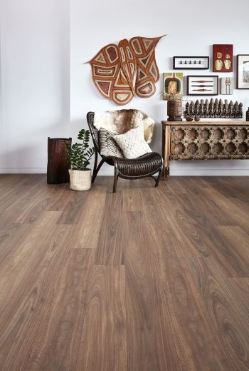 Spotted Gum - Image 3