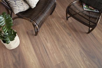 Spotted Gum - Image 2