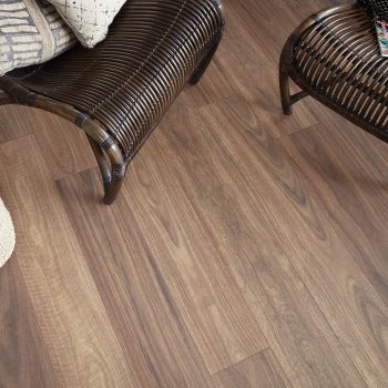 Spotted Gum