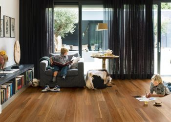 Spotted Gum - Image 2