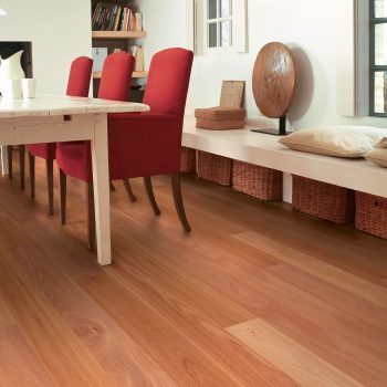 Sydney Blue Gum