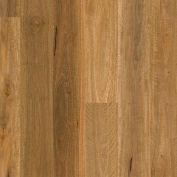 Matt Brushed Spotted Gum