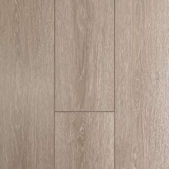 Seashell Oak