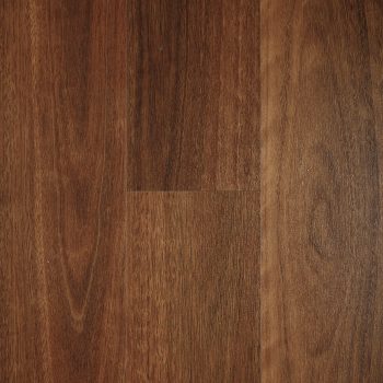 Smoked Spotted Gum