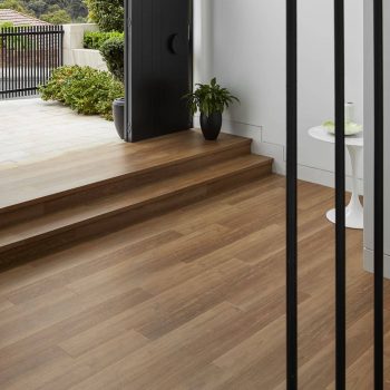 Spotted Gum