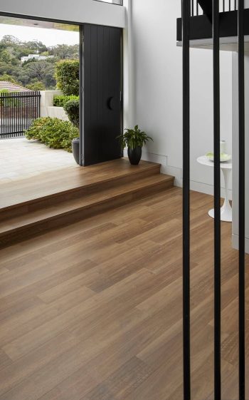 Spotted Gum - Image 2