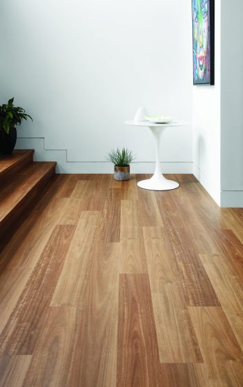 Spotted Gum - Image 2
