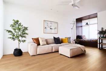 Bleached Blackbutt - Image 2