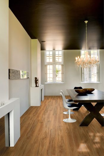 Spotted Gum - Image 2