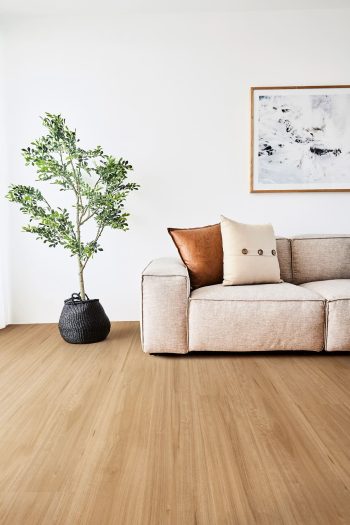 Bleached Blackbutt - Image 4