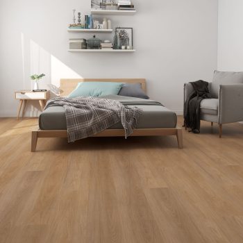 Tidal Blackbutt