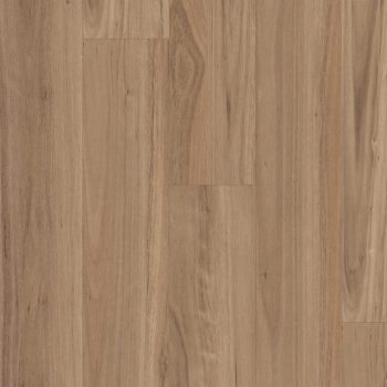 Blackbutt Select