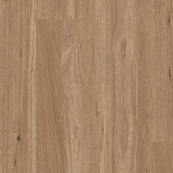 Tasmanian Oak